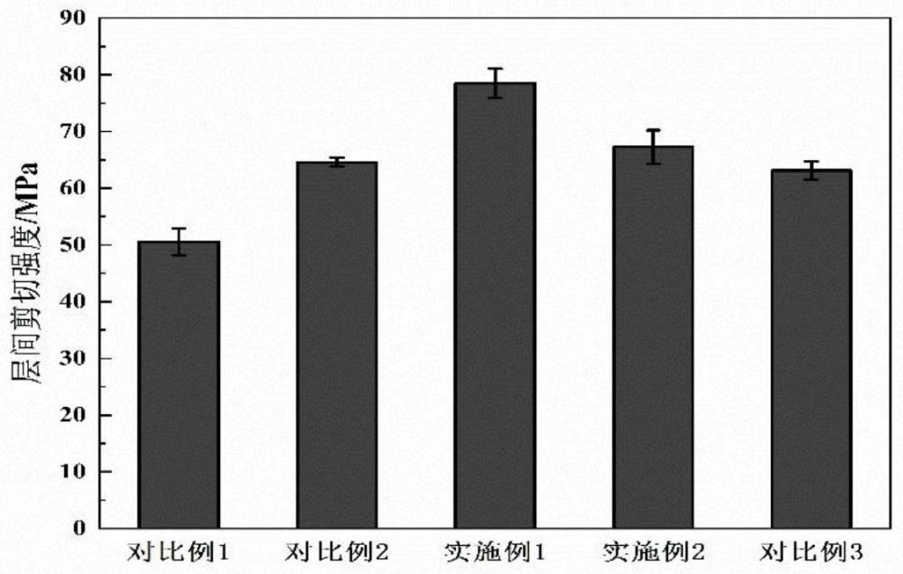 一種基于生物基質(zhì)表面改性的碳纖維、制備方法及復(fù)合材料