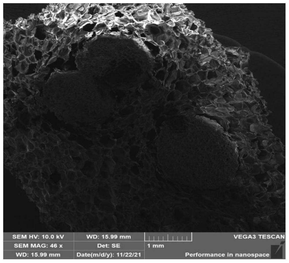 一種改性可發(fā)性聚苯乙烯顆粒、制備方法及其應用