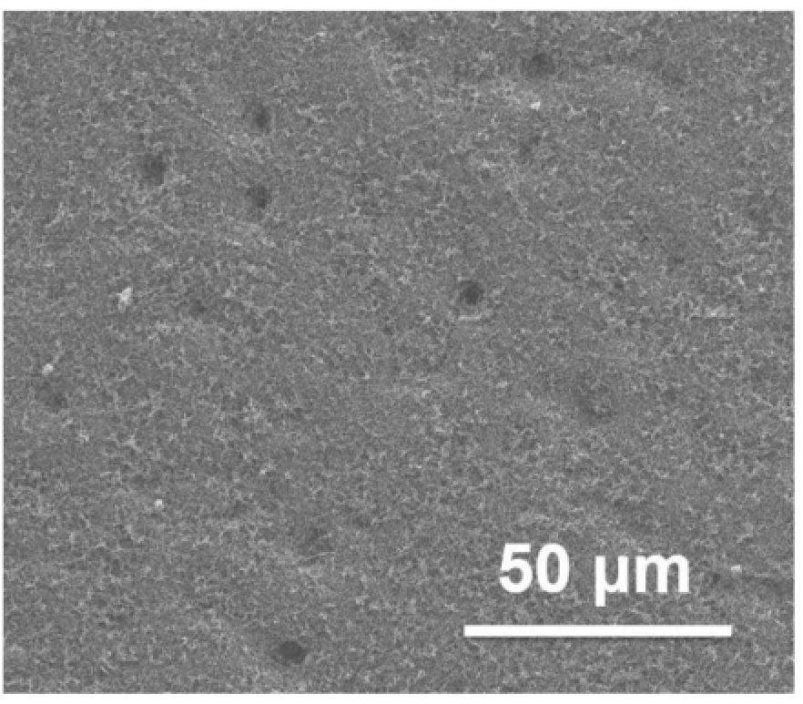 一種具有超疏水纖毛結(jié)構(gòu)的復(fù)合涂層、防水垢涂覆制品及其制備方法