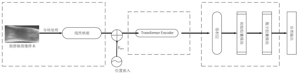 指靜脈識別模型訓(xùn)練方法及識別方法、系統(tǒng)和終端