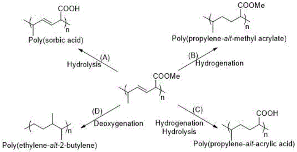 一種路易斯堿的應(yīng)用、山梨酸酯聚合物及其衍生物
